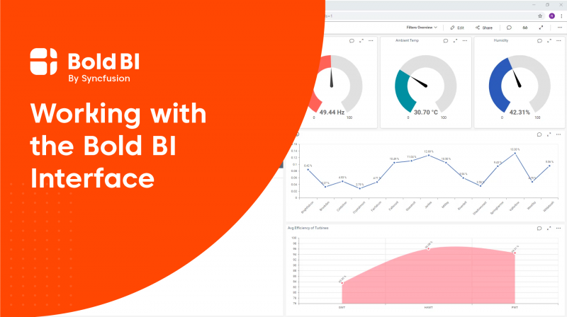 Working with Enterprise BI Interface